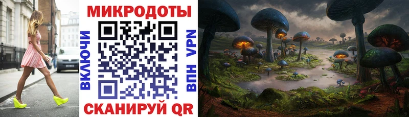 цена наркотик  darknet как зайти  Галлюциногенные грибы Psilocybe  Новосокольники 